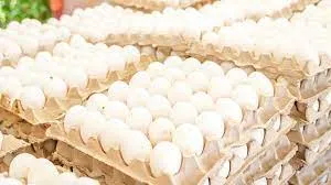 Huevos 30/1